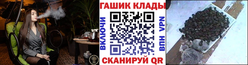 ГАШ гарик  Вытегра 