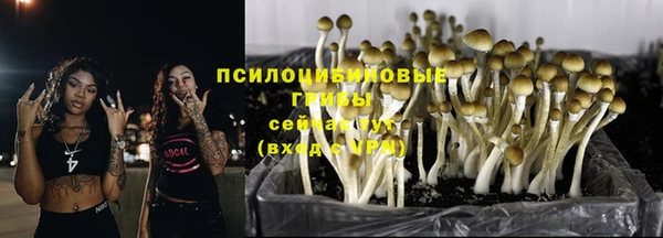 а пвп мука Бородино