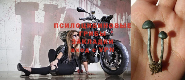 мдпв Липки