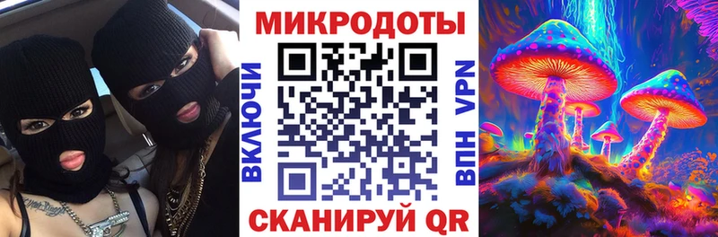 гидра   Вытегра  Псилоцибиновые грибы Psilocybe  наркота 